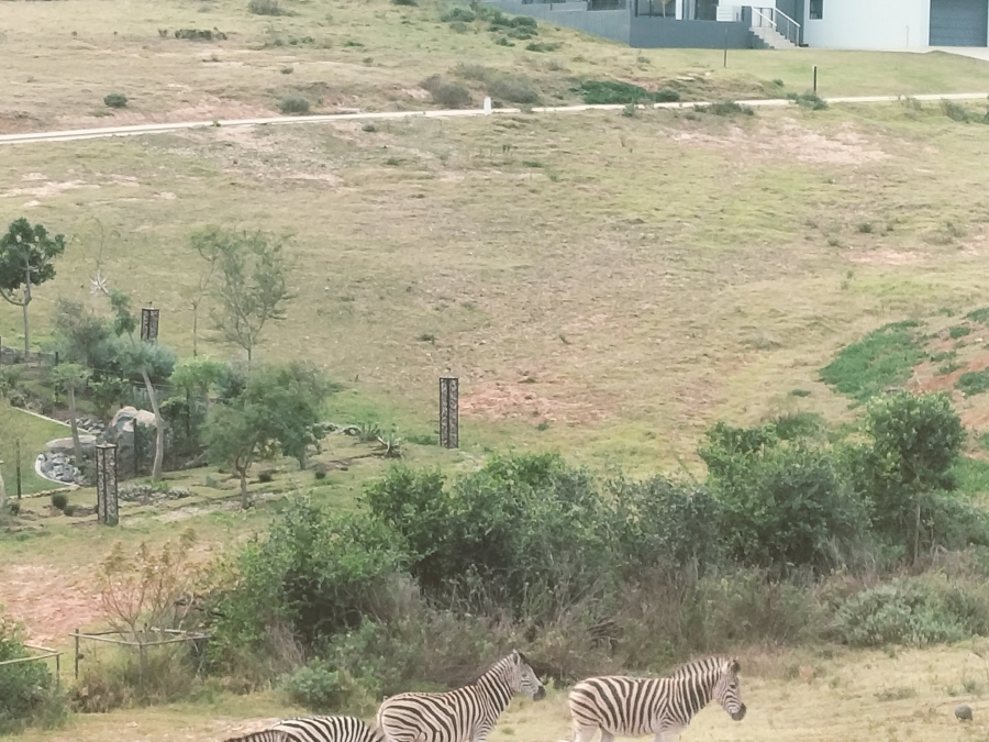 0 Bedroom Property for Sale in Outeniquasbosch Western Cape